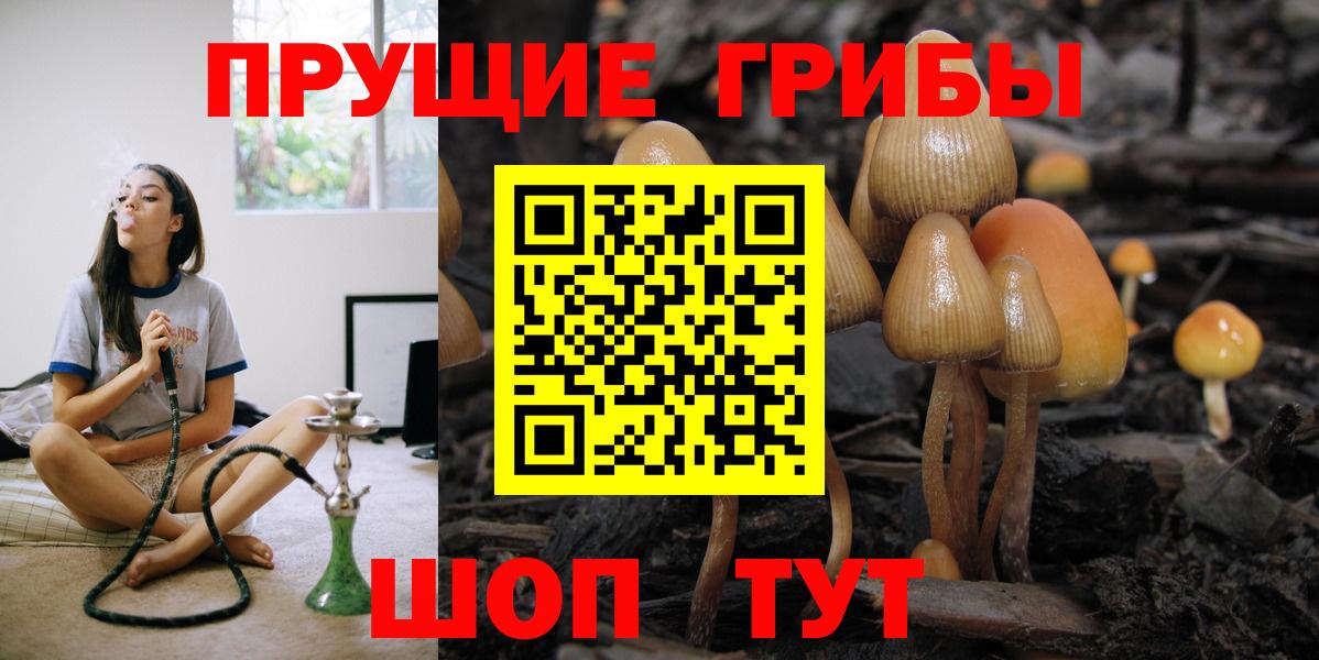 Псилоцибиновые грибы GOLDEN TEACHER  Вход с VPN  где купить наркоту  Галлюциногенные грибы Psilocybe  Баксан 