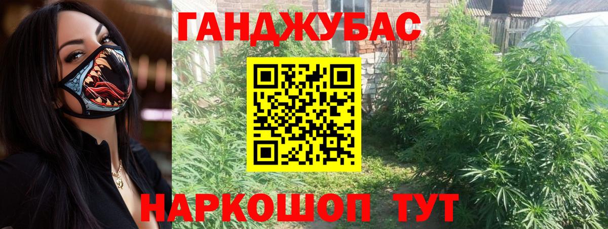 Бошки марихуана планчик  Бошки марихуана индика  Баксан  Вход с VPN 